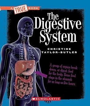 The Digestive System