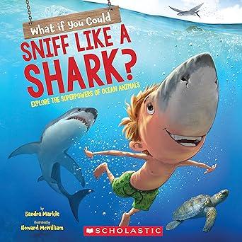 Snif Like shark